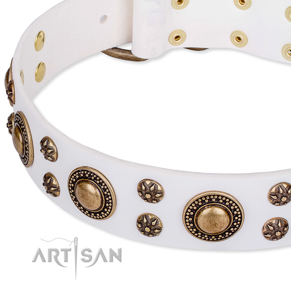 Quick to fasten leather dog collar with resistant to tear and wear non-rusting hardware