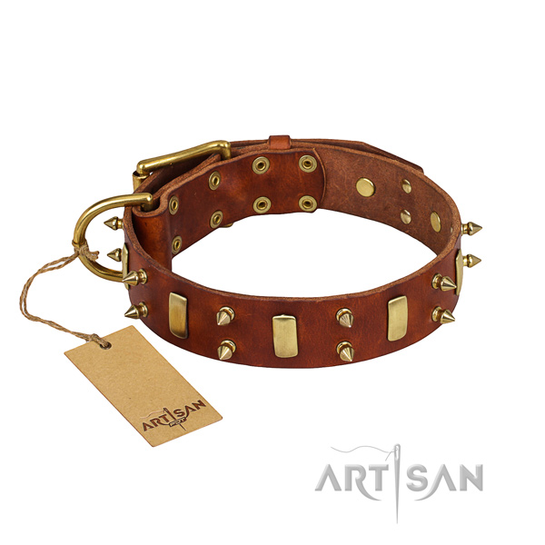 Durable leather dog collar with sturdy details