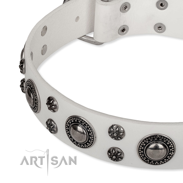 Easy to use leather dog collar with resistant to tear and wear chrome plated buckle and D-ring