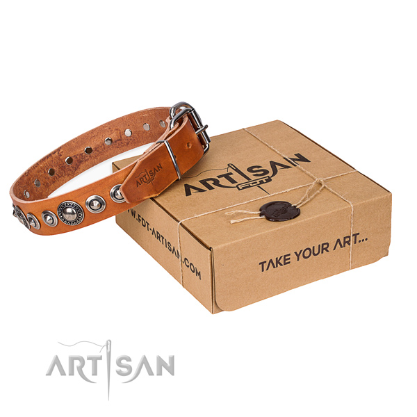 Top notch genuine leather dog collar for stylish walking