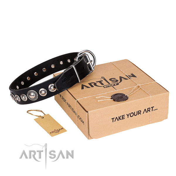 Impressive genuine leather dog collar for walking