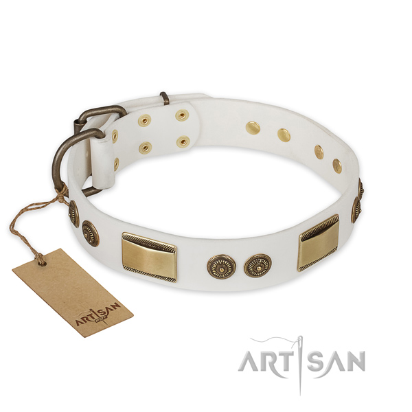 Impressive design studs on genuine leather dog collar