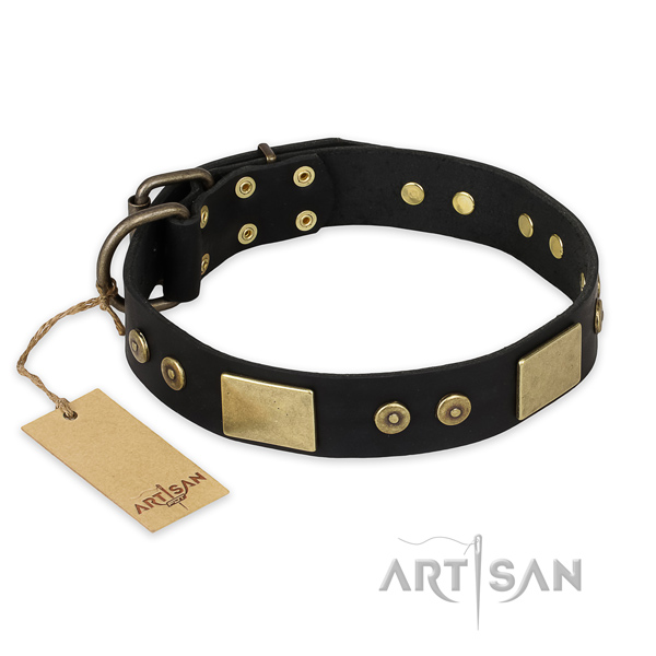Exceptional design embellishments on full grain genuine leather dog collar