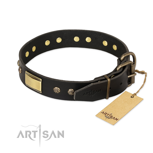 Everyday use full grain natural leather collar with decorations for your canine