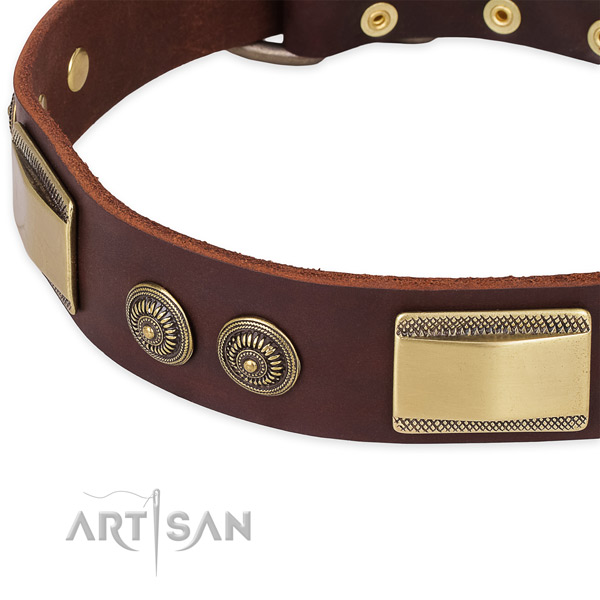 Daily walking full grain leather collar with corrosion proof buckle and D-ring