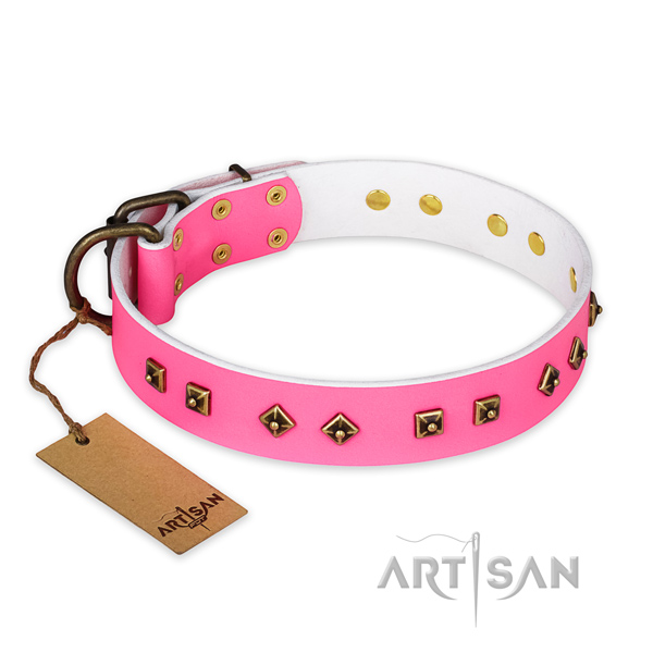 Remarkable design decorations on full grain natural leather dog collar