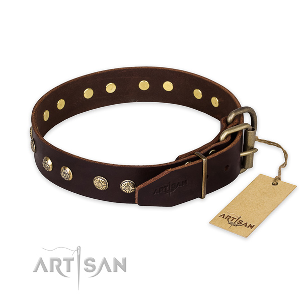 Everyday walking leather collar with decorations for your four-legged friend
