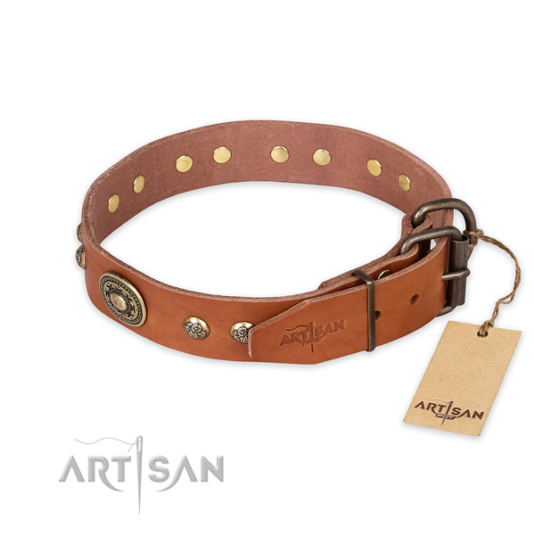 Daily walking natural genuine leather collar with embellishments for your four-legged friend