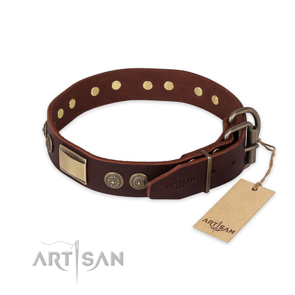 Everyday walking full grain leather collar with studs for your canine