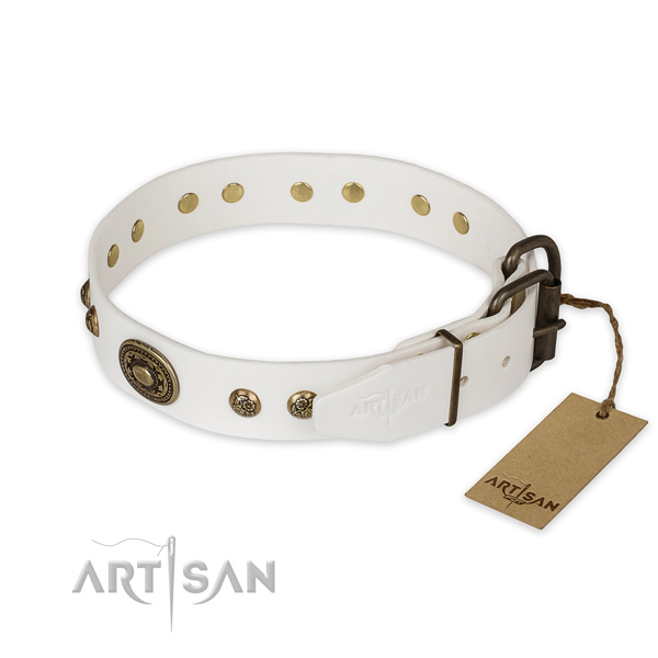 Everyday walking full grain genuine leather collar with embellishments for your dog