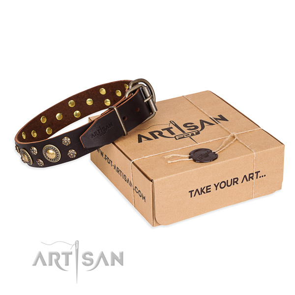 Daily leather dog collar with luxurious embellishments