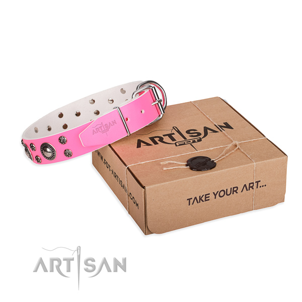 Day-to-day leather dog collar with incredible embellishments