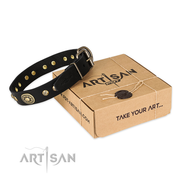 High quality genuine leather dog collar for everyday walking