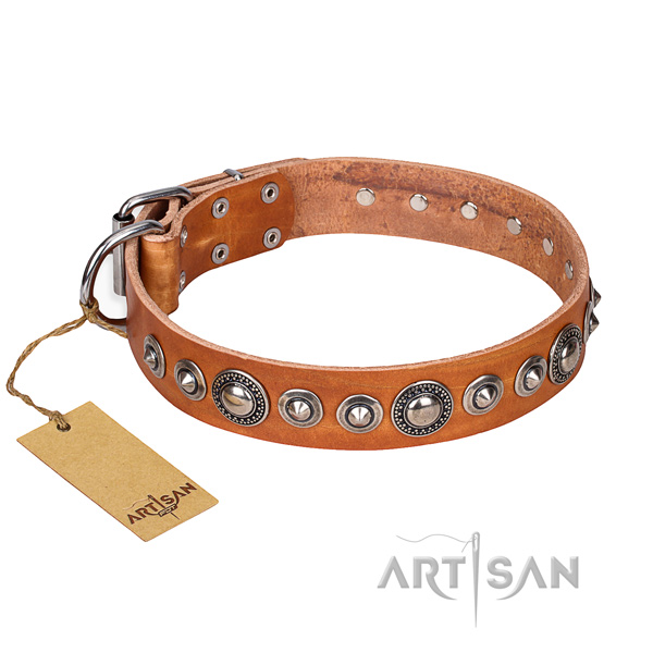 Reliable leather dog collar with rust-resistant details