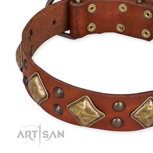 Quick to fasten leather dog collar with extra sturdy rust-proof hardware