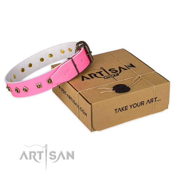 Top notch natural genuine leather dog collar for daily use