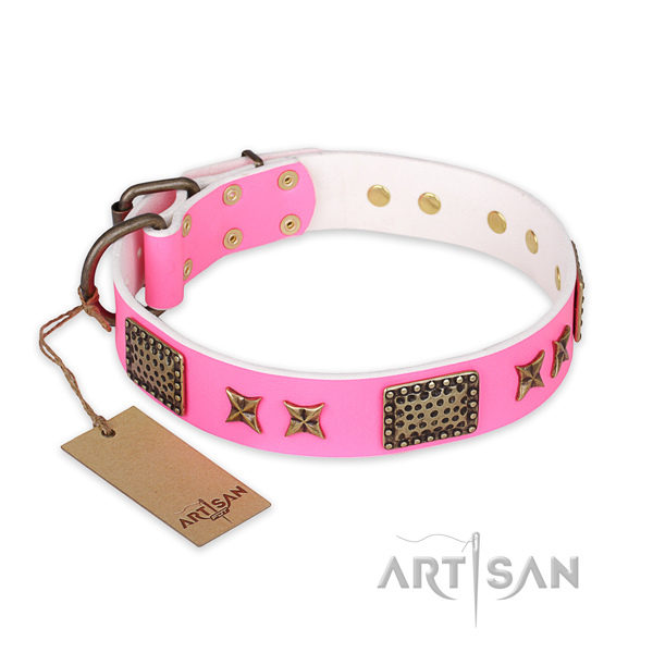 Trendy design studs on leather dog collar