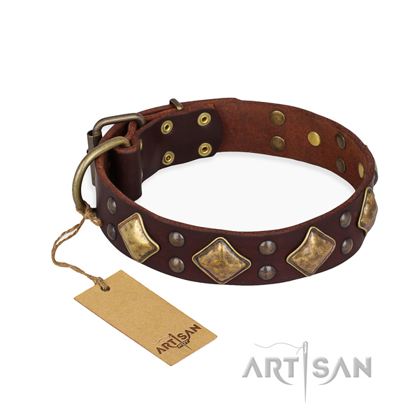 Exquisite design embellishments on genuine leather dog collar