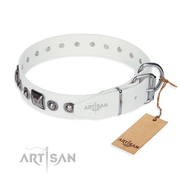 Stylish leather collar for your elegant canine