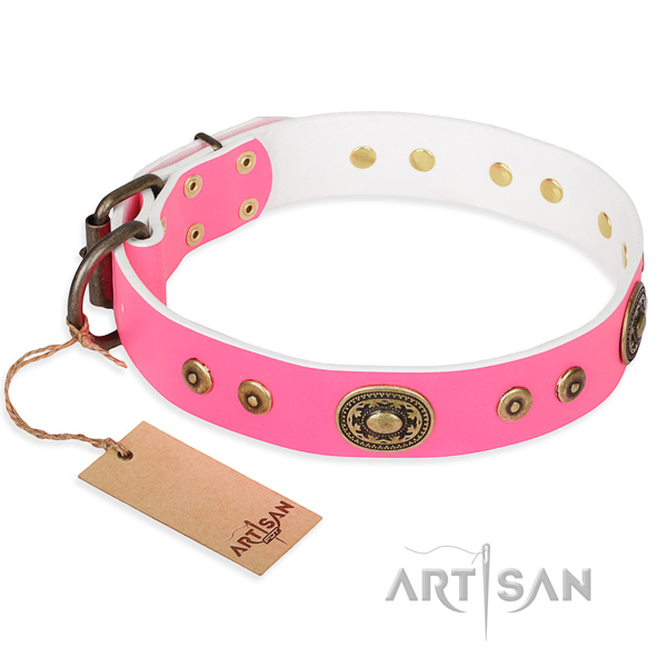 Resistant leather dog collar with non-rusting details