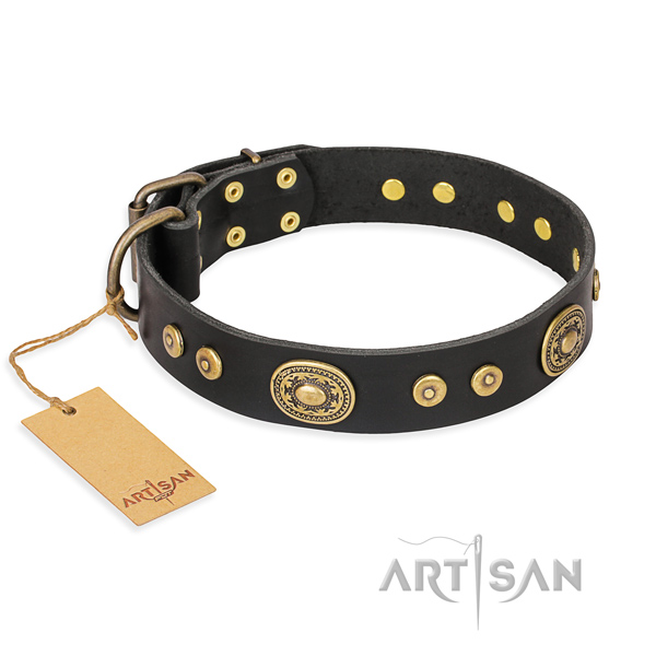 Durable leather dog collar with durable fittings