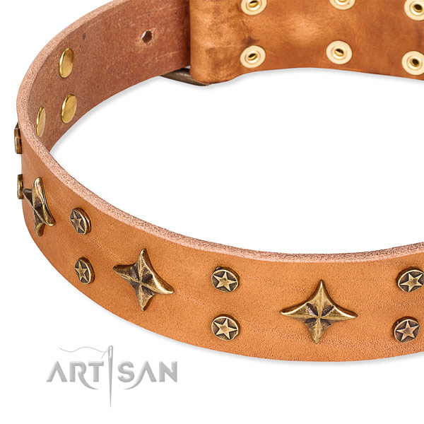 Easy to use leather dog collar with extra sturdy brass plated buckle and D-ring