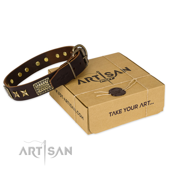 Trendy full grain genuine leather dog collar for walking