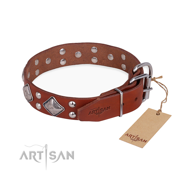 Stylish leather collar for your elegant dog