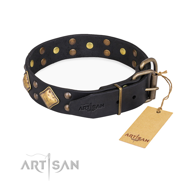 Practical leather collar for your noble four-legged friend