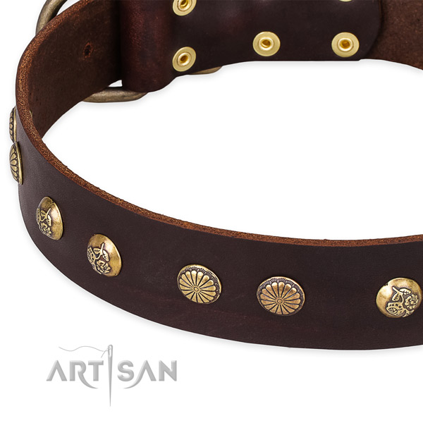 Easy to put on/off leather dog collar with extra sturdy rust-proof hardware