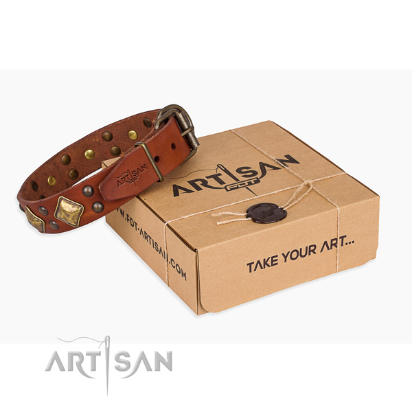 Top quality full grain leather dog collar for everyday walking