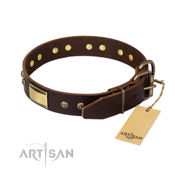 Walking full grain leather collar with decorations for your canine