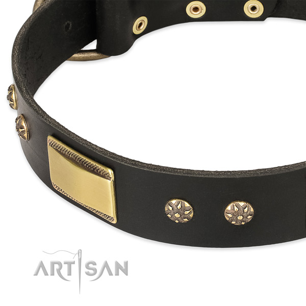 Daily walking natural genuine leather collar with strong buckle and D-ring