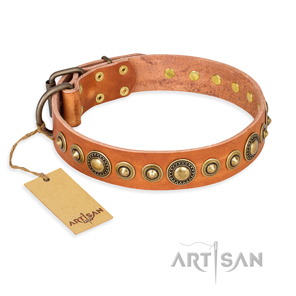 Tough leather dog collar with corrosion-resistant details