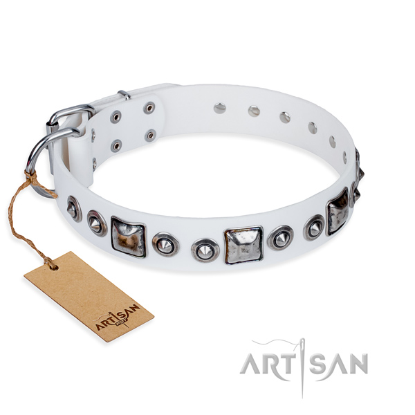 Heavy-duty leather dog collar with rust-resistant hardware