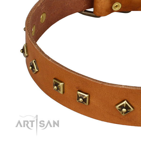 Daily use full grain natural leather collar with rust resistant buckle and D-ring