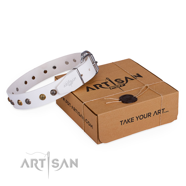 Stylish design full grain genuine leather dog collar for walking in style