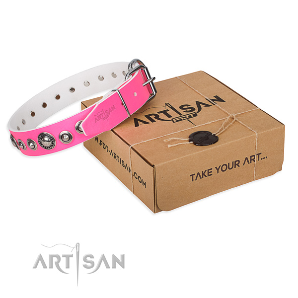 Perfect fit leather dog collar for daily use
