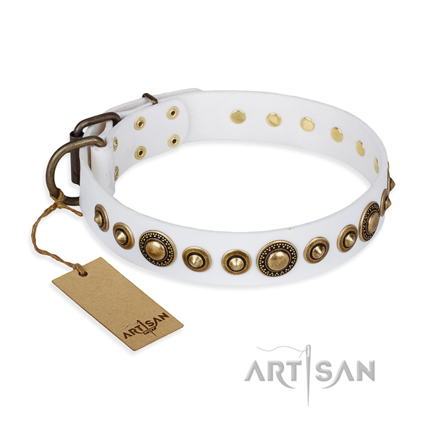 Hardwearing leather dog collar with rust-resistant details