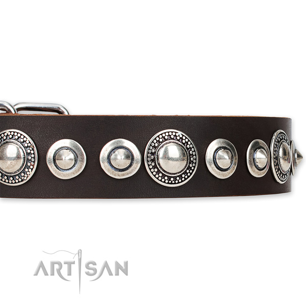 Snugly fitted leather Mastiff collar with resistant to tear and wear rust-proof buckle