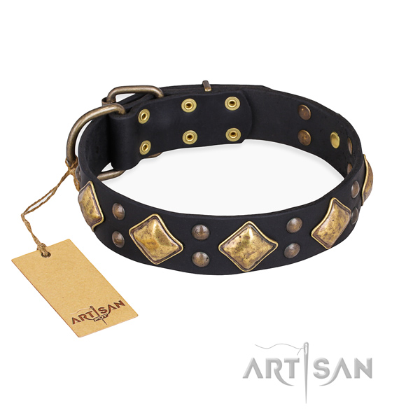 Exquisite design studs on full grain natural leather dog collar