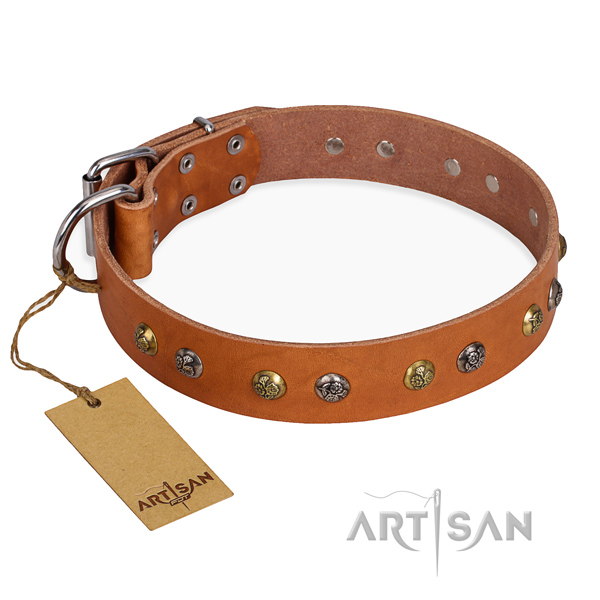 Unusual design adornments on genuine leather dog collar