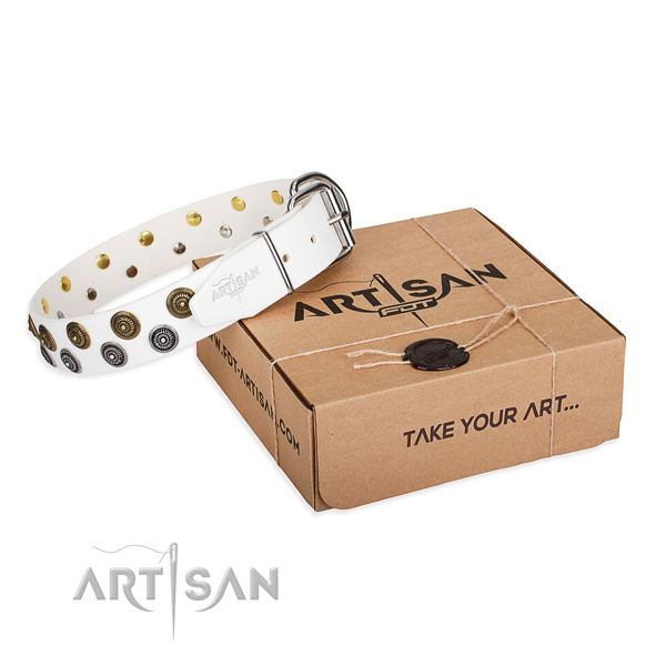 Trendy full grain leather dog collar for everyday walking