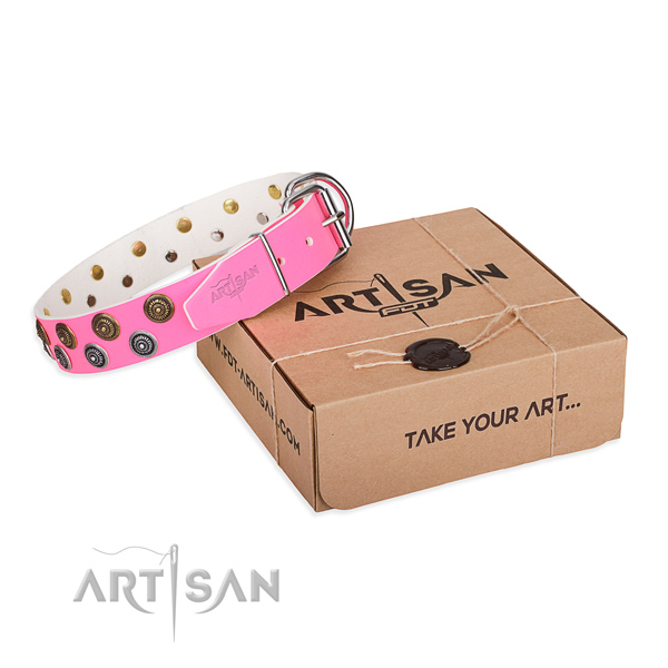 Best quality full grain genuine leather dog collar for walking in style