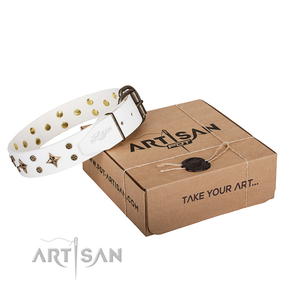 Awesome full grain natural leather dog collar for everyday use