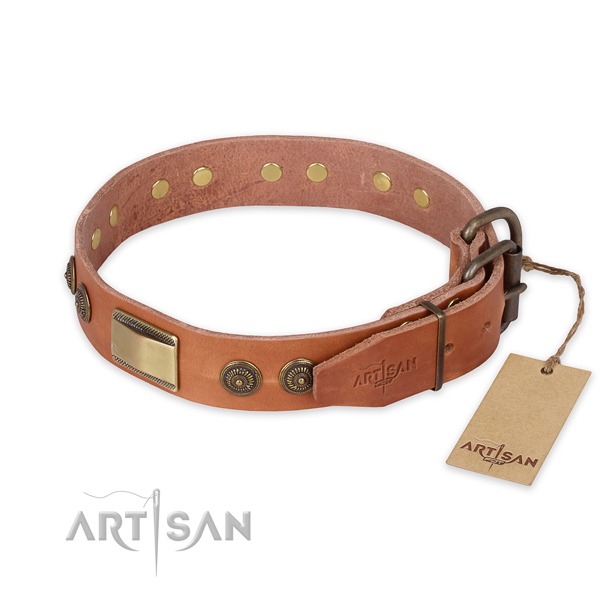 Daily use leather collar with embellishments for your canine