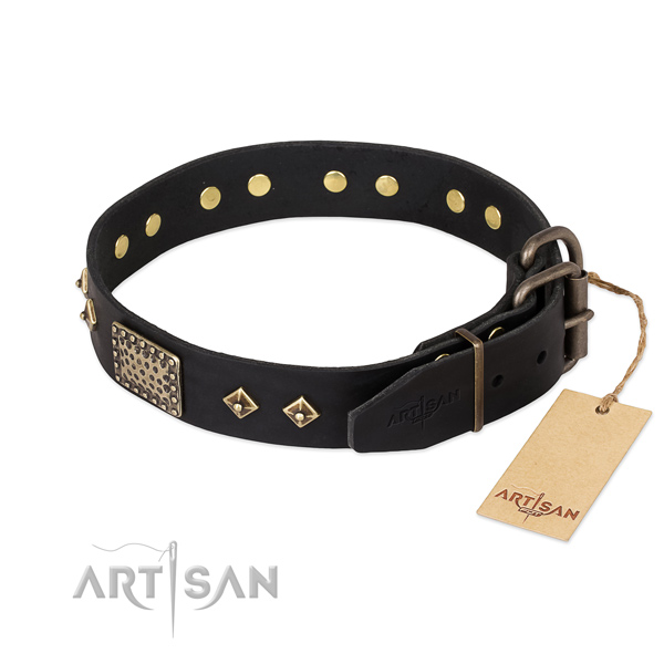 Everyday use genuine leather collar with studs for your dog