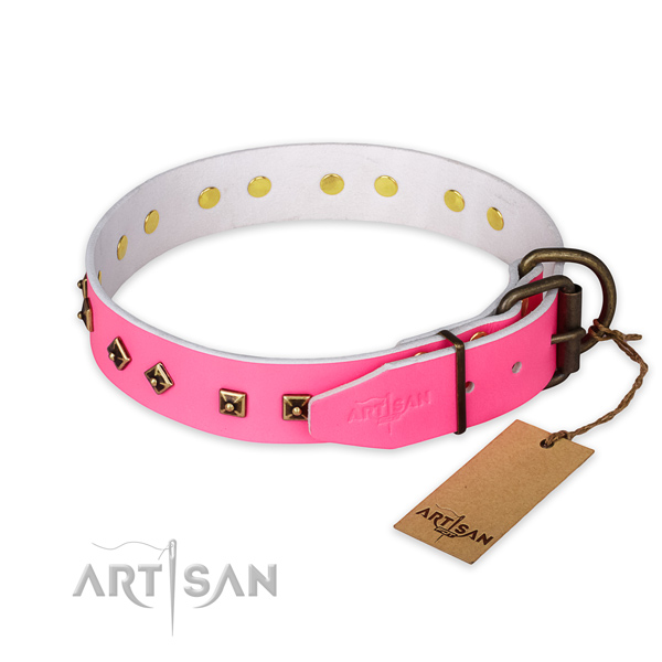 Daily walking leather collar with adornments for your canine