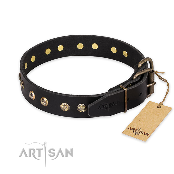 Daily walking full grain natural leather collar with studs for your four-legged friend
