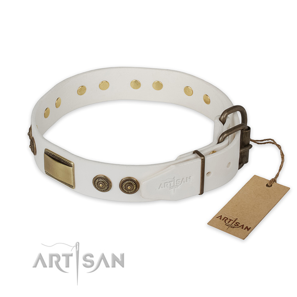 Everyday use leather collar with embellishments for your doggie